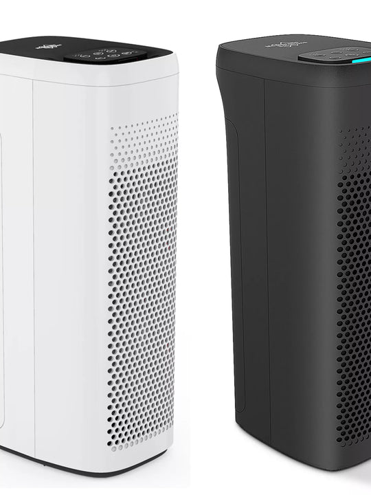 Air Purifier For Home Allergies Pets Smog, HEPA Filter,White Black Air Cleaner