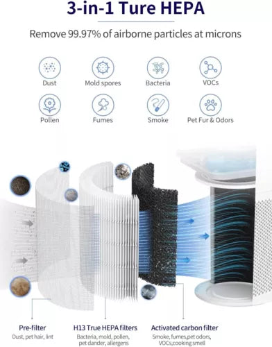 Air Purifier for Large Rooms - H13 True HEPA for Allergies, Smoke & Pets