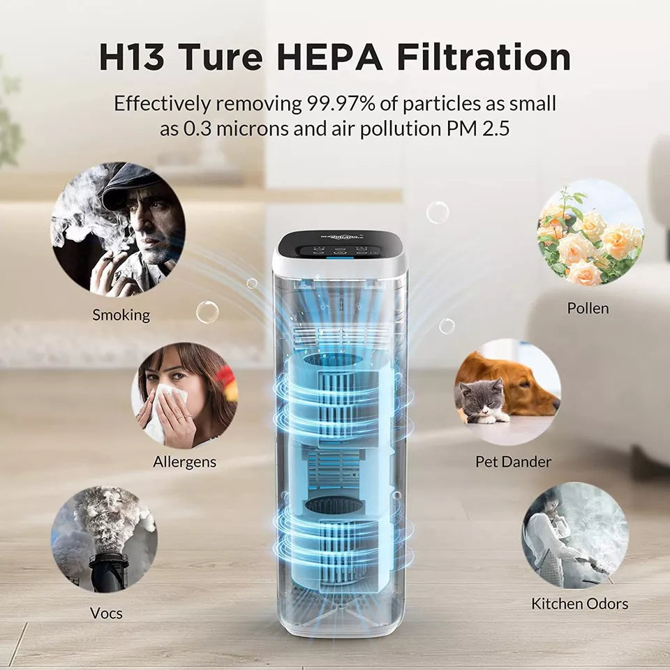 Air Purifier For Home Allergies Pets Smog, HEPA Filter,White Black Air Cleaner